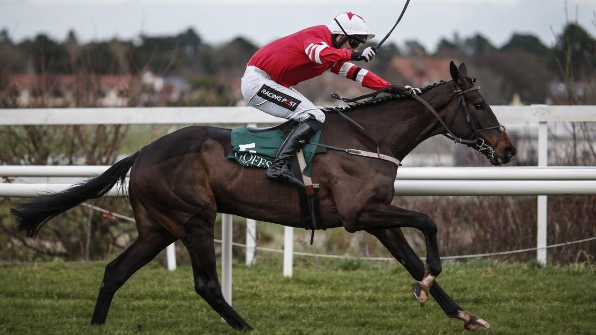 Blackbow winning at Leopardstown